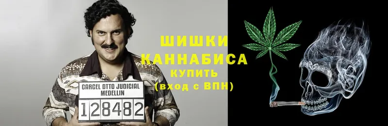 Конопля SATIVA & INDICA  закладка  Липки 